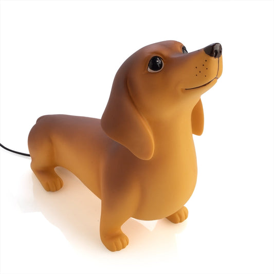 a small toy dachshund dog on a white background